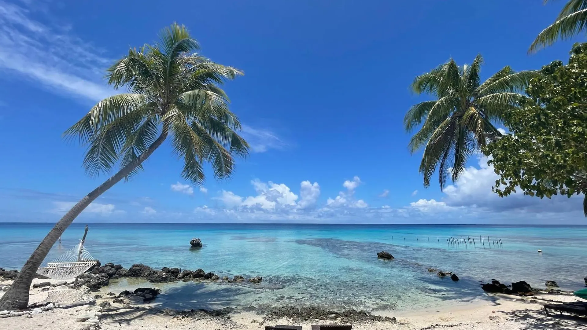 Frühstückspension Le Coconut Lodge Avatoru
